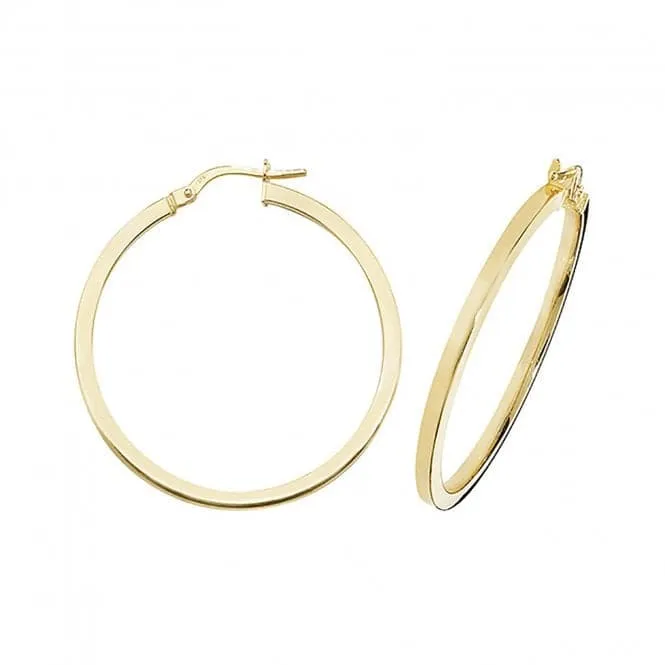 9ct Yellow Gold Oval Hoop Earrings ER947