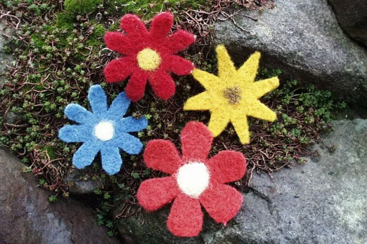 Bioland Organic Plant-Dyed Wool Dry Felting Kit, Flowers