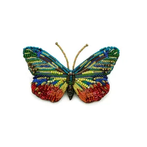 Trovelore | Cepora Jewel Butterfly